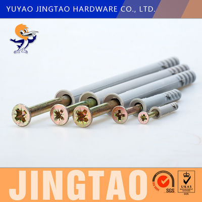 ODM Nylon Wall Anchor PA6 Drive Anchor Screw Drilled Head Pozidrive
